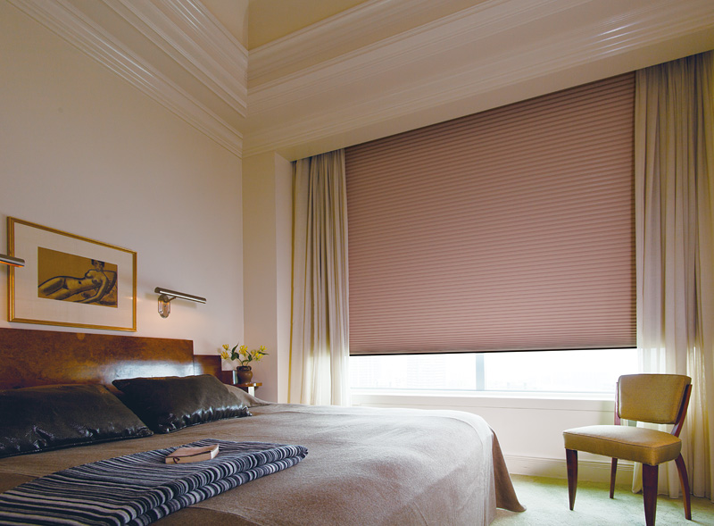 Honeycomb Blinds (1)