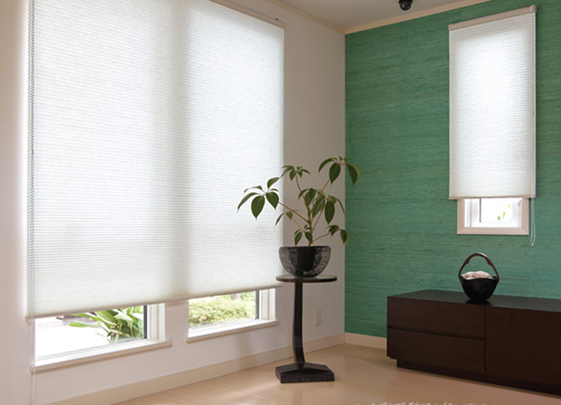 Honeycomb Blinds (5)